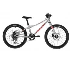 dětské kolo 20" Amulet Youngster 20 SH 2025 alu brushed transparent/red