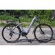 dámské trekové elektrokolo eMERIX 28" X1-BF420 LADY Alivio 1x9 disc