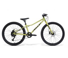 dětské kolo 24" Amulet Youngster disc yellow pearl/black 2026
