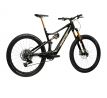 elektrokolo Amflow PL Carbon PRO 800Wh